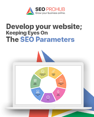 Develop your website keeping eyes on the SEO parameters